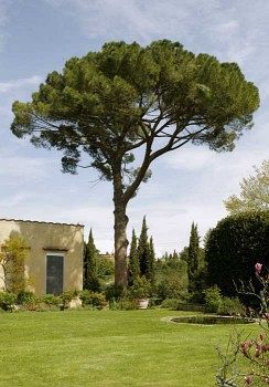 Villa Malavolta Scandicci Exteriör bild